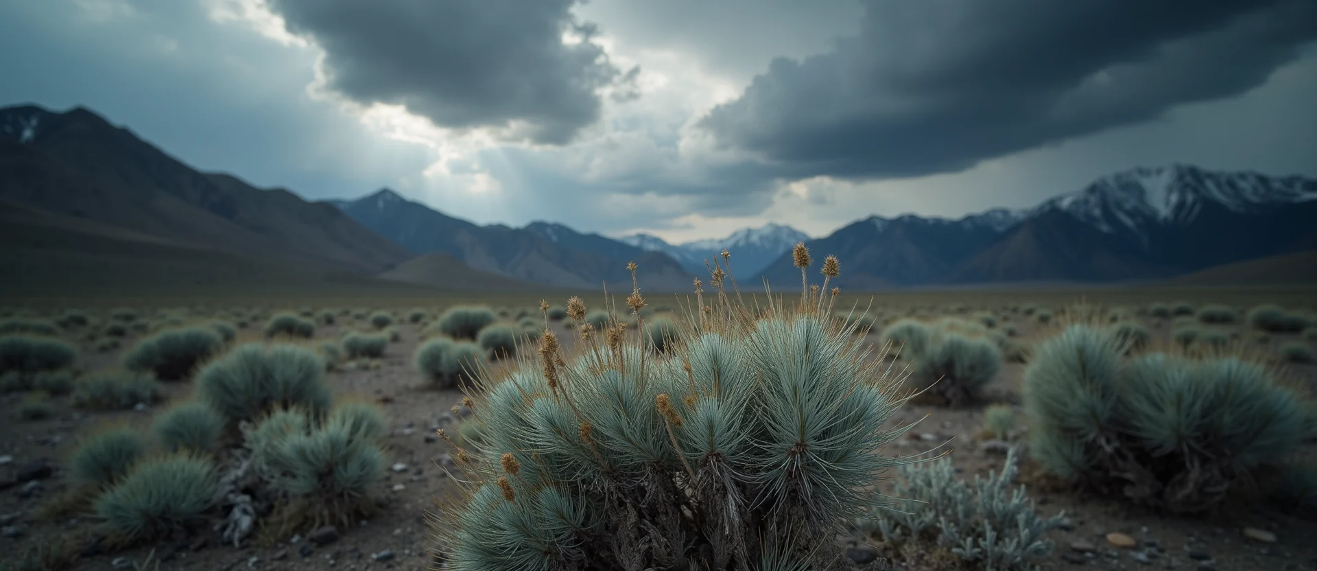 Symbolizing Identity/Local: A local Sagebrush (Artemisia tridentata) Sierra Nevada skyline. - AI Generated