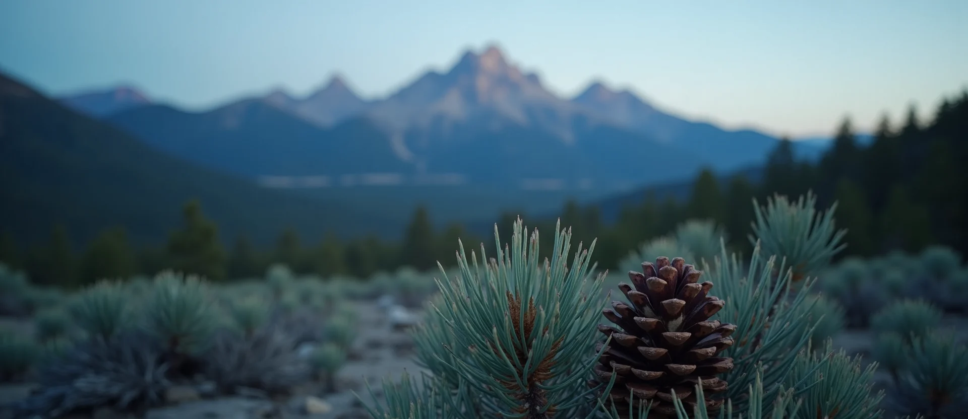 Symbolizing Seed/New Beginning: A local Bitterbrush opening pine cone. - AI Generated