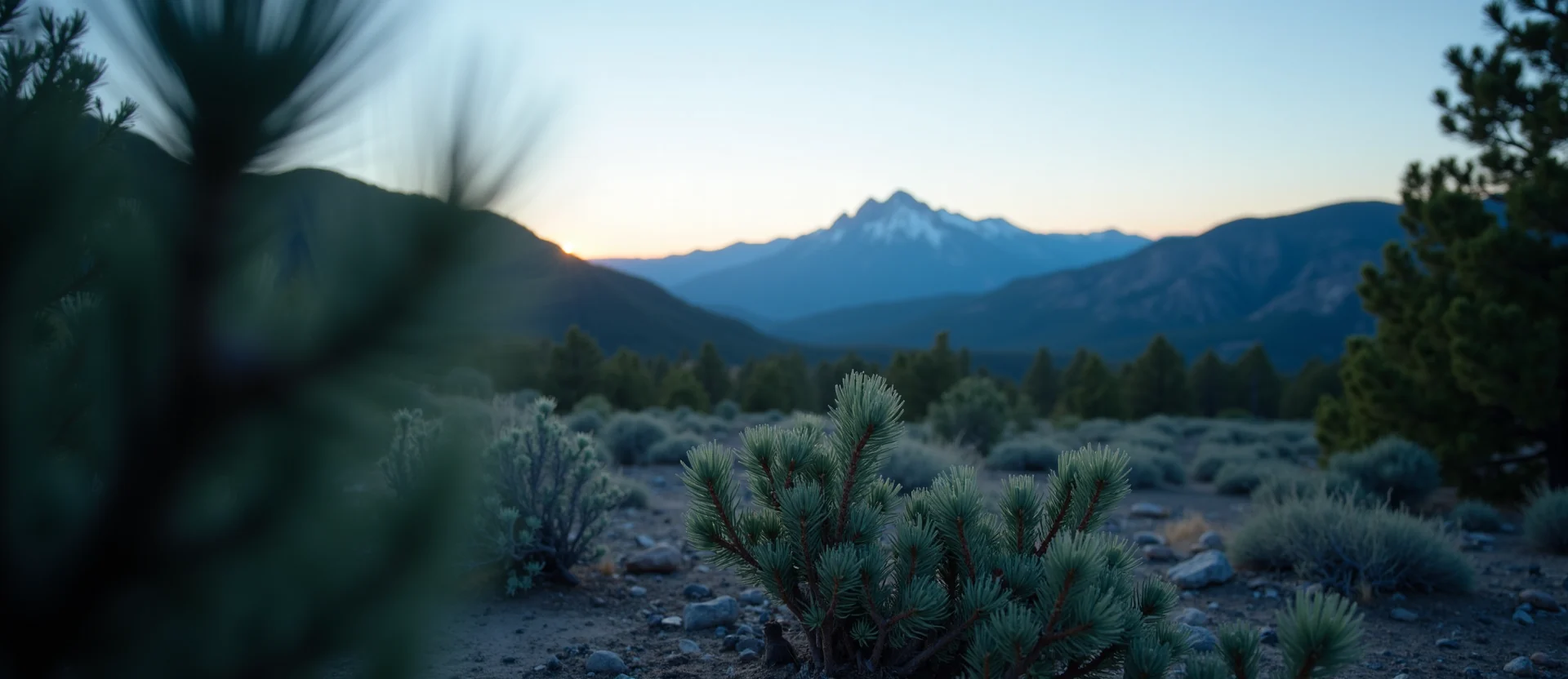 Symbolizing Identity/Local: A local Manzanita Peavine Mountain silhouette. - AI Generated