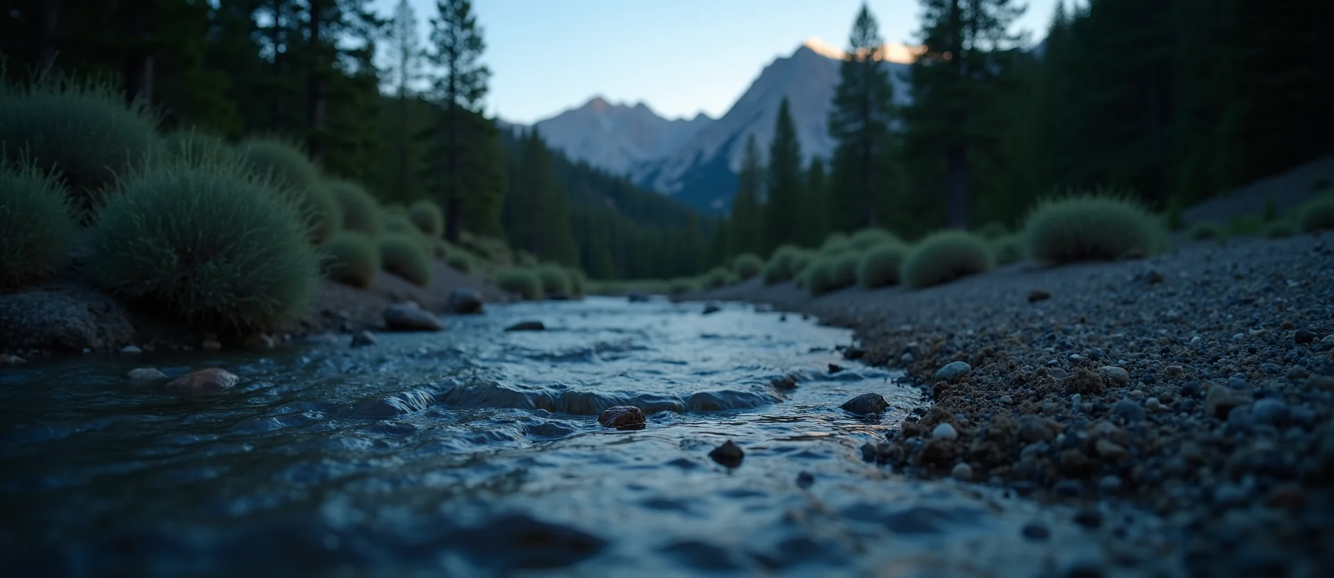 Symbolizing Flow/Cleansing: A local Sierra Juniper babbling mountain creek. - AI Generated