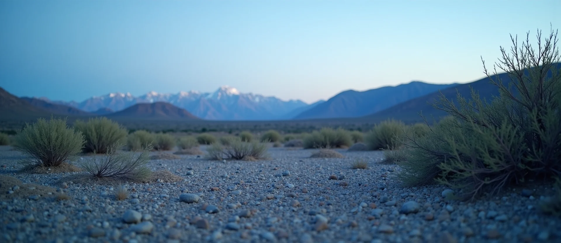Symbolizing Identity/Local: A local Bitterbrush High Desert vista. - AI Generated