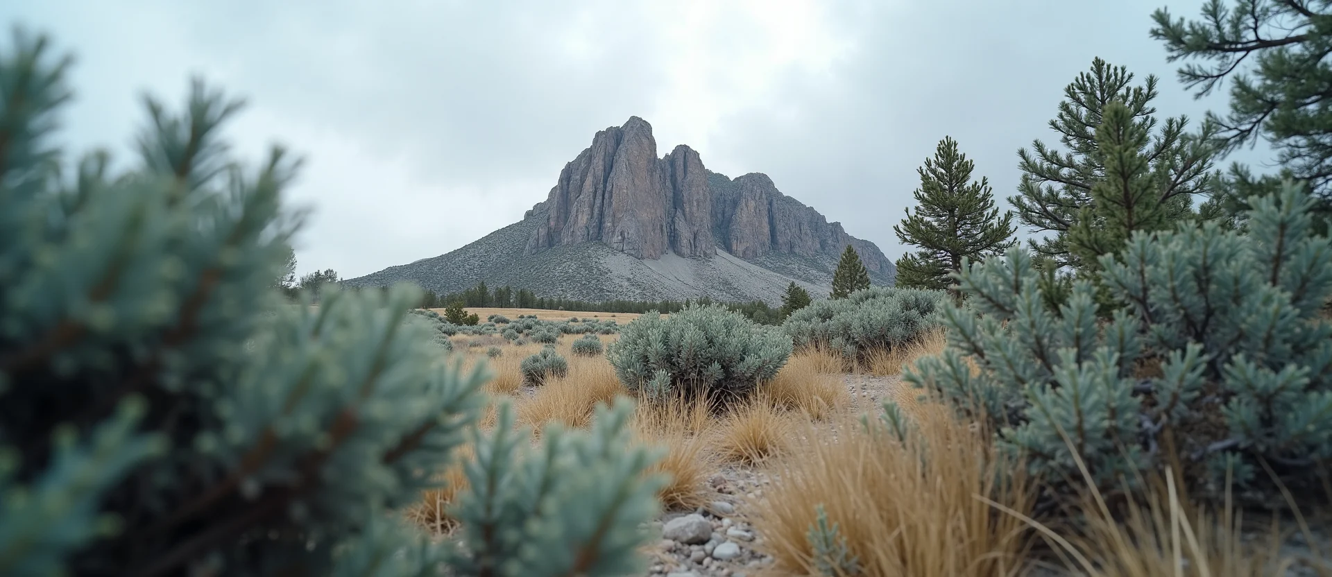 Symbolizing Stability/Peak: A local Quaking Aspen jagged granite peak. - AI Generated