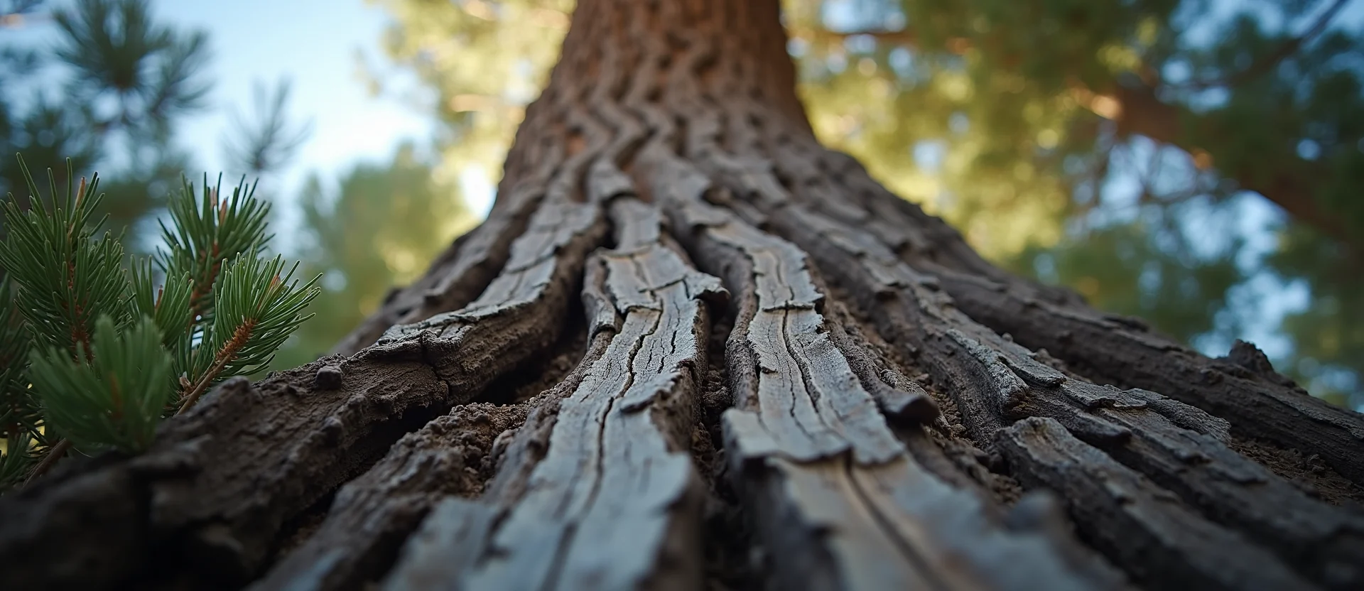 Symbolizing Growth/Resilience: A local Bitterbrush sturdy weathered tree trunk. - AI Generated