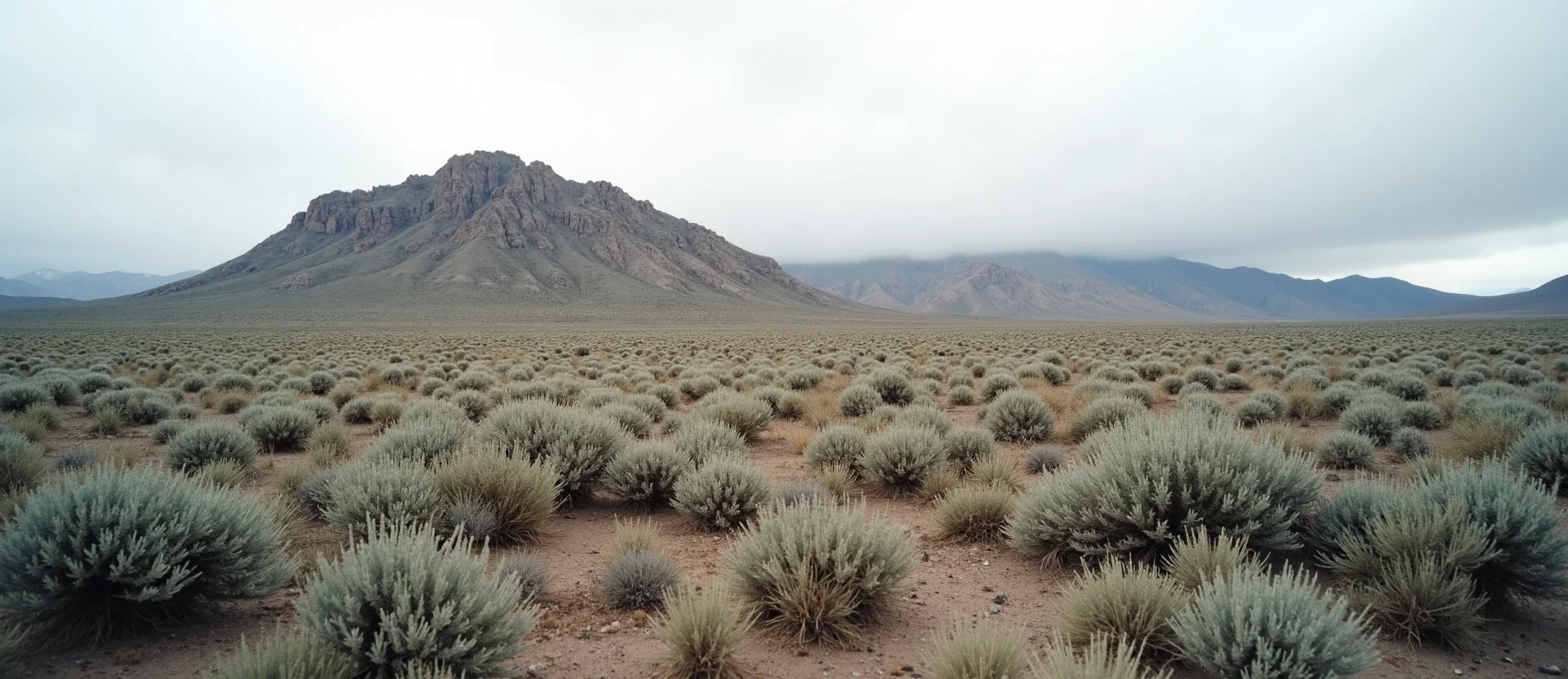 Symbolizing Stability/Peak: A local Sagebrush (Artemisia tridentata) solid mountain ridge. - AI Generated