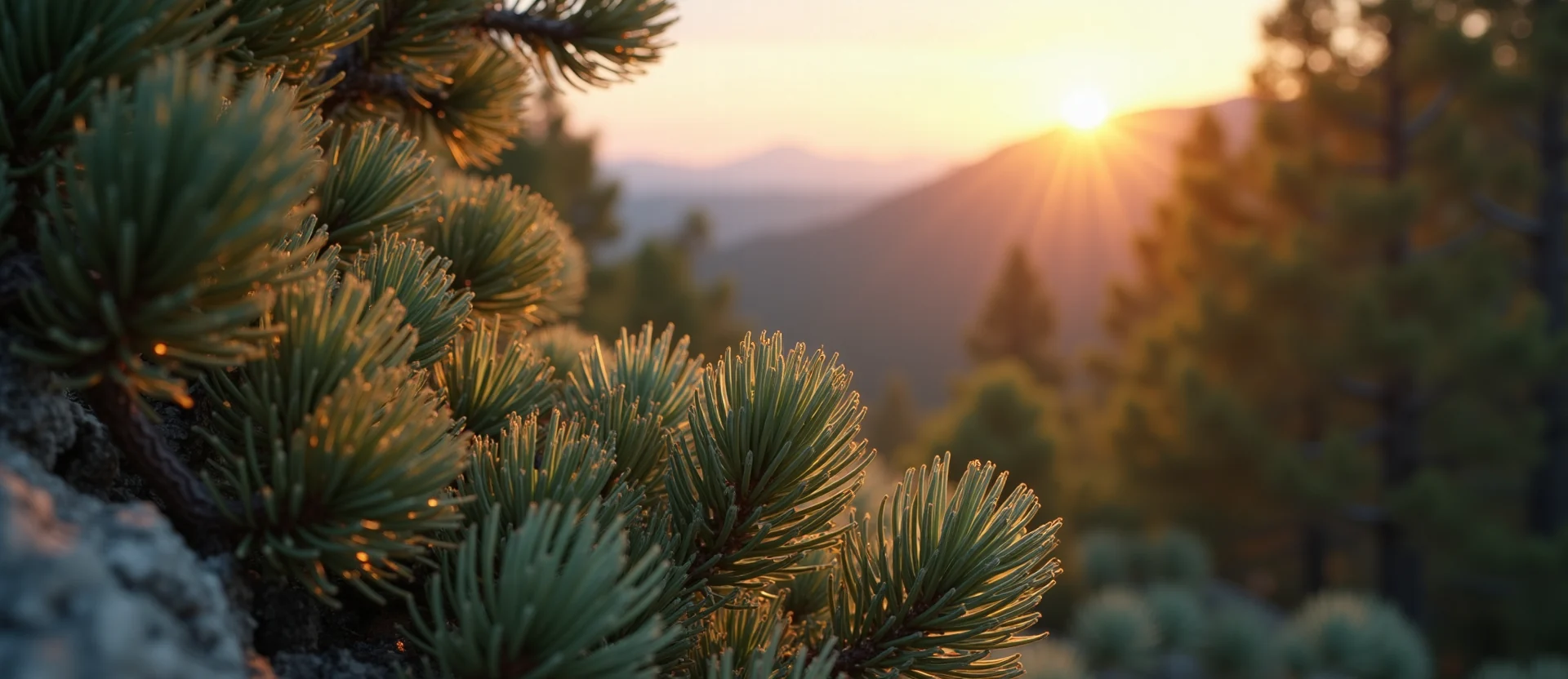 Symbolizing Identity/Local: A local Manzanita Peavine Mountain silhouette. - AI Generated