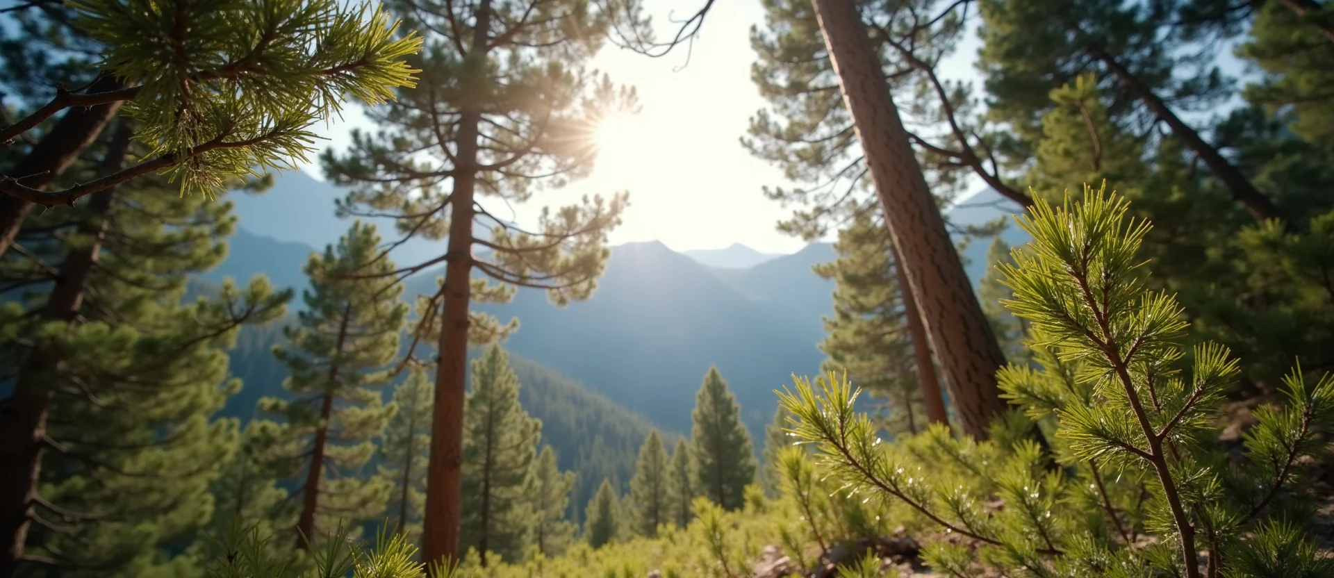 Symbolizing Identity/Local: A local Mountain Mahogany Sierra Nevada skyline. - AI Generated