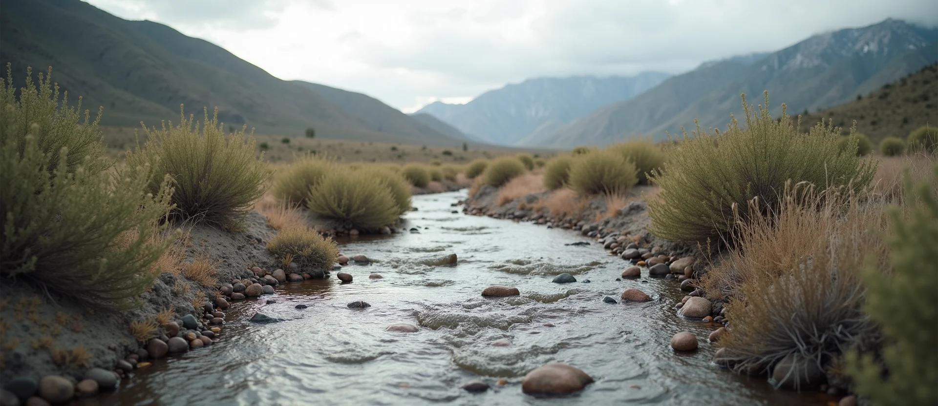 Symbolizing Flow/Cleansing: A local Desert Peach babbling mountain creek. - AI Generated