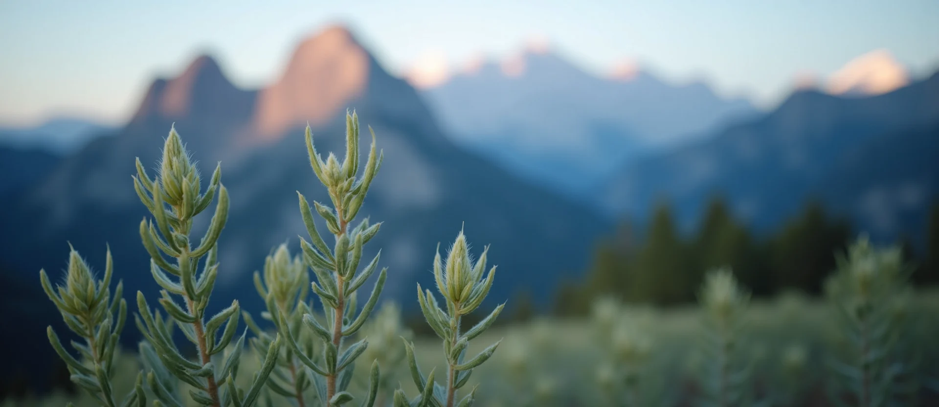 Symbolizing Stability/Peak: A local Indian Paintbrush jagged granite peak. - AI Generated