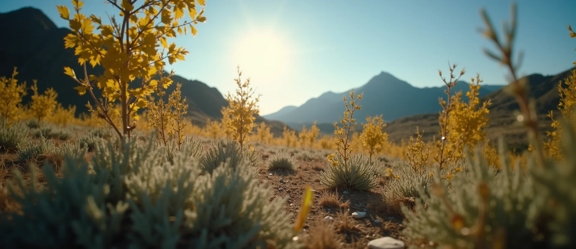 Symbolizing Stability/Peak: A local Indian Paintbrush distant Sierra horizon. - AI Generated