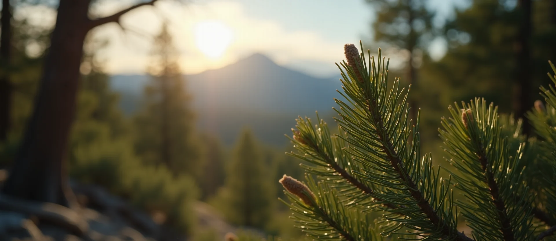 Symbolizing Seed/New Beginning: A local Sierra Juniper new green bud on a branch. - AI Generated