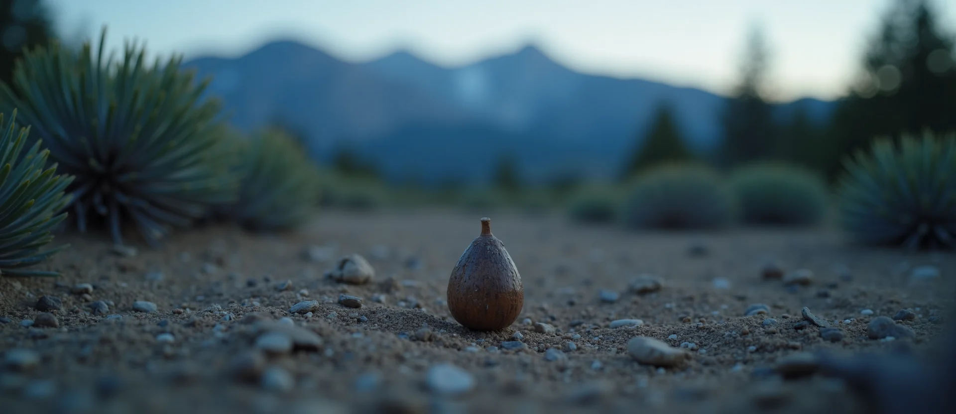 Symbolizing Seed/New Beginning: A local Sierra Juniper single pine seed on dry earth. - AI Generated