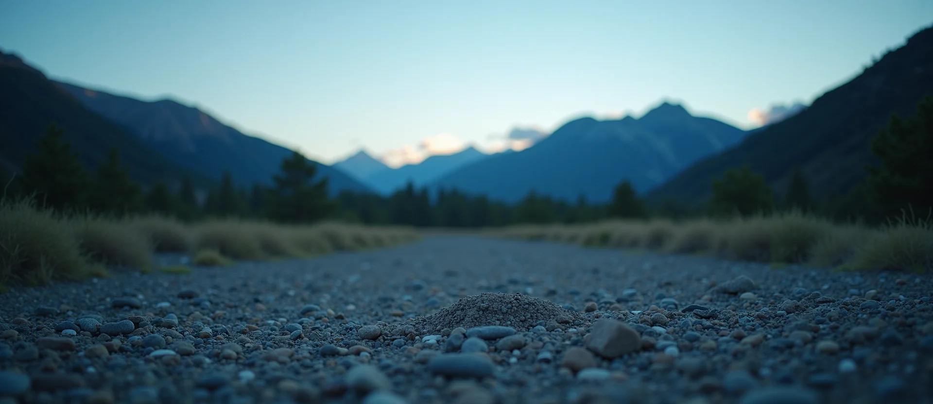 Symbolizing Identity/Local: A local Sierra Juniper Sierra Nevada skyline. - AI Generated