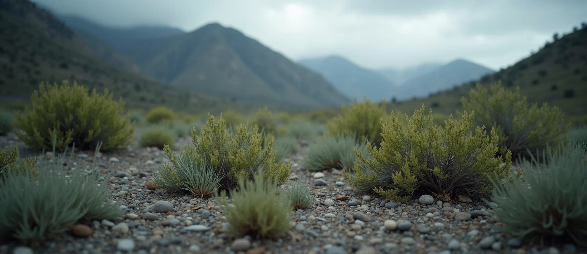 Symbolizing Flow/Cleansing: A local Quaking Aspen raindrops on desert leaves. - AI Generated