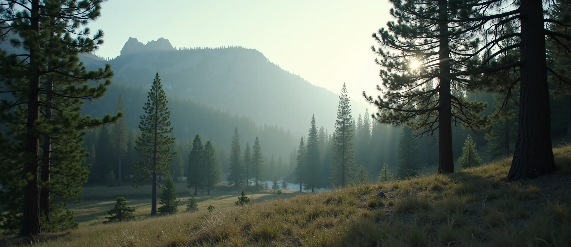 Symbolizing Stability/Peak: A local Ponderosa Pine solid mountain ridge. - AI Generated