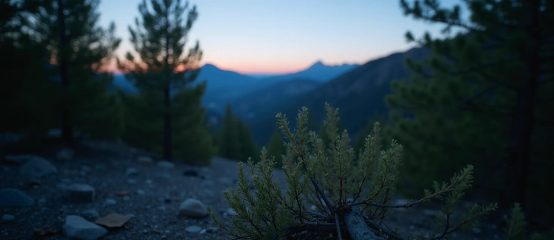 Symbolizing Stability/Peak: A local Sierra Juniper distant Sierra horizon. - AI Generated