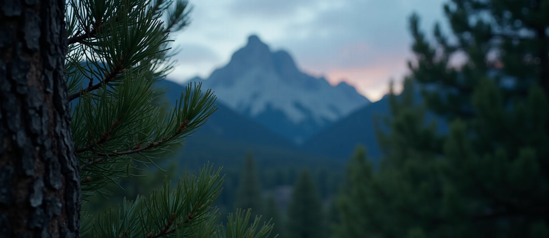 Symbolizing Flow/Cleansing: A local Ponderosa Pine raindrops on desert leaves. - AI Generated