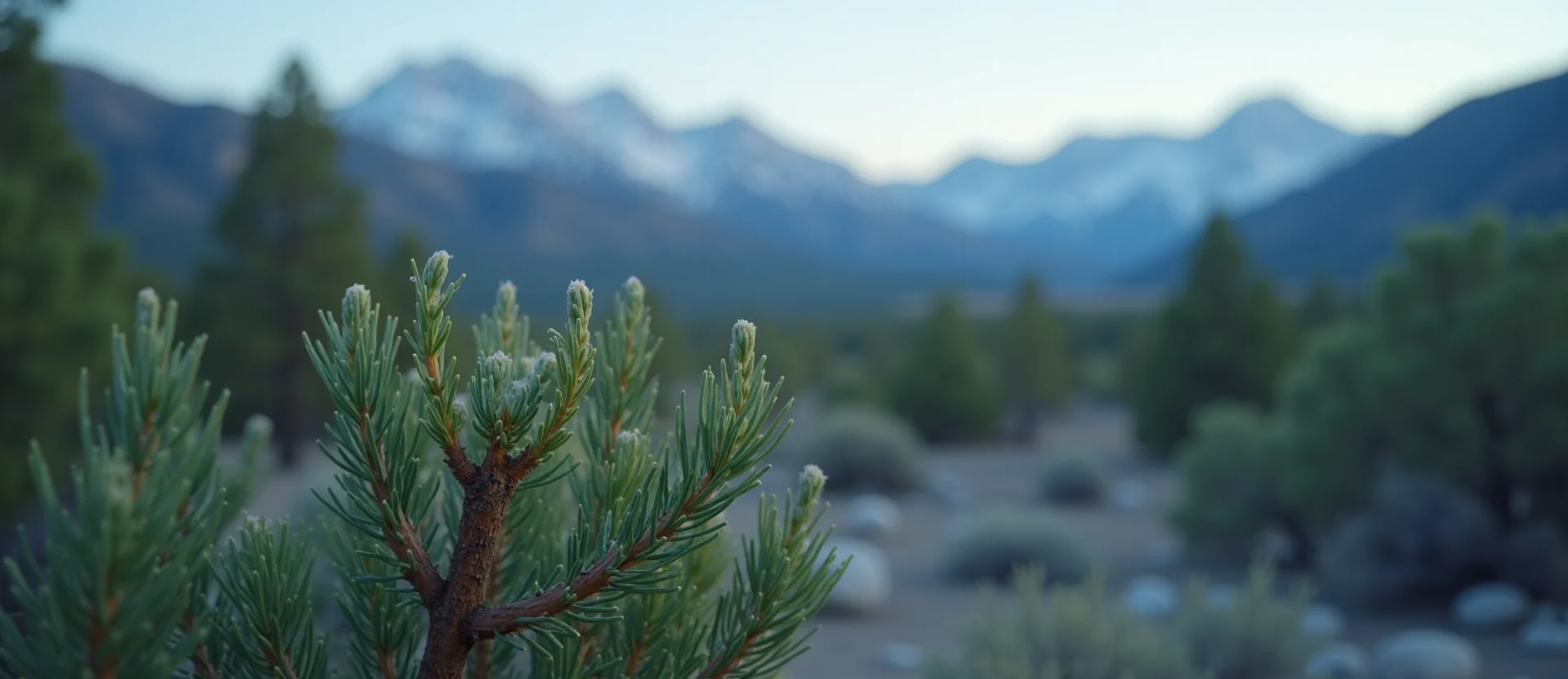 Symbolizing Seed/New Beginning: A local Quaking Aspen new green bud on a branch. - AI Generated