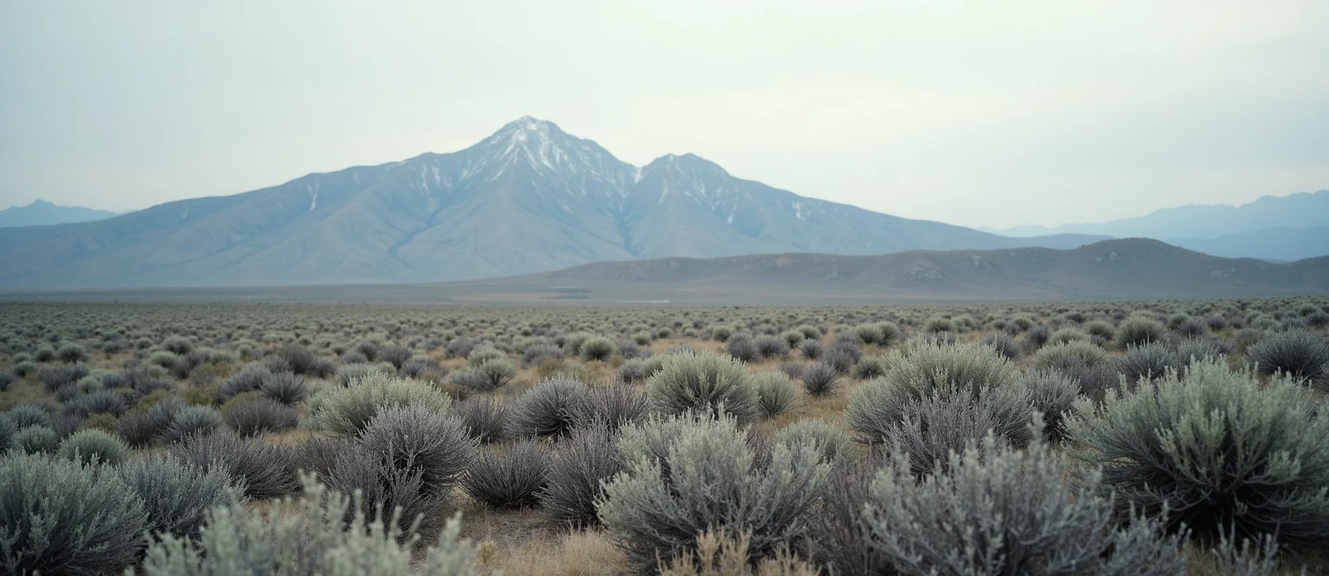 Symbolizing Identity/Local: A local Desert Peach Peavine Mountain silhouette. - AI Generated