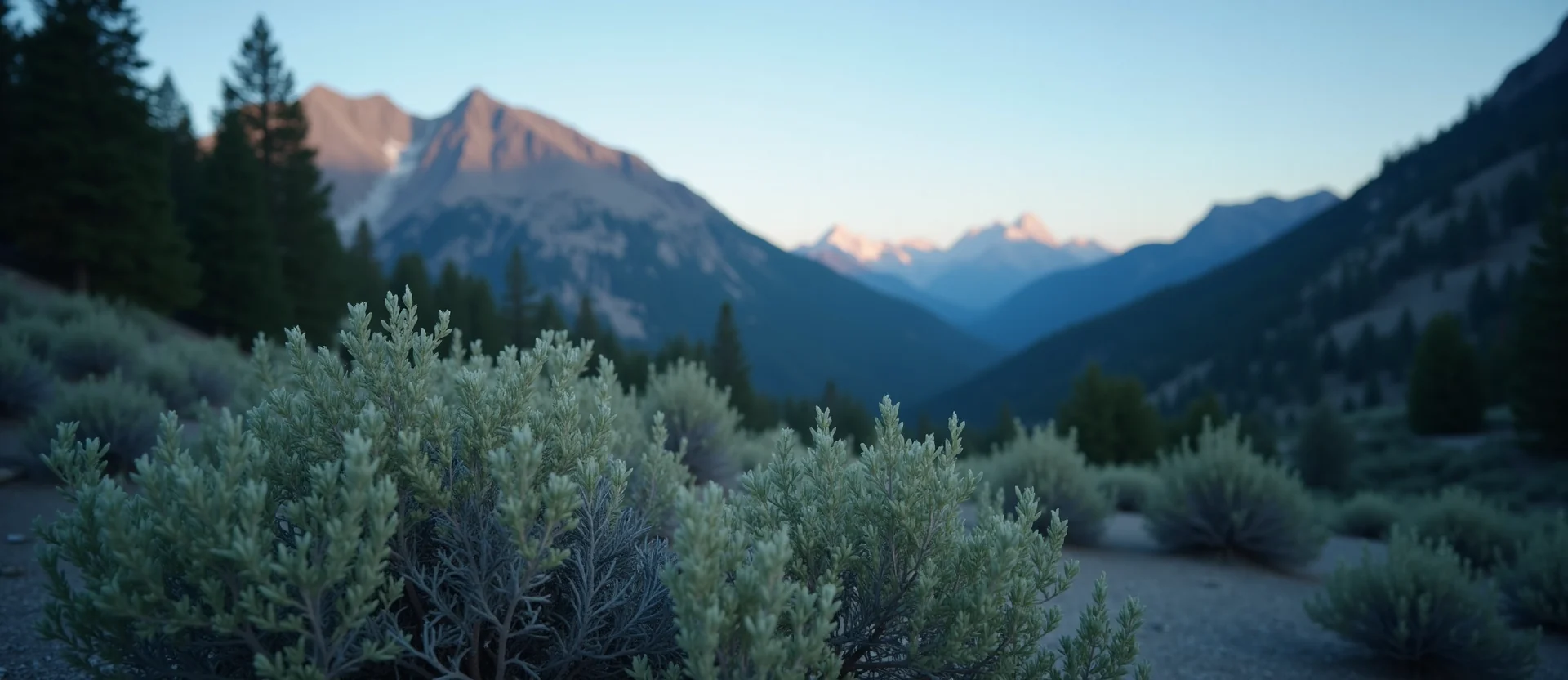 Symbolizing Stability/Peak: A local Rabbitbrush solid mountain ridge. - AI Generated