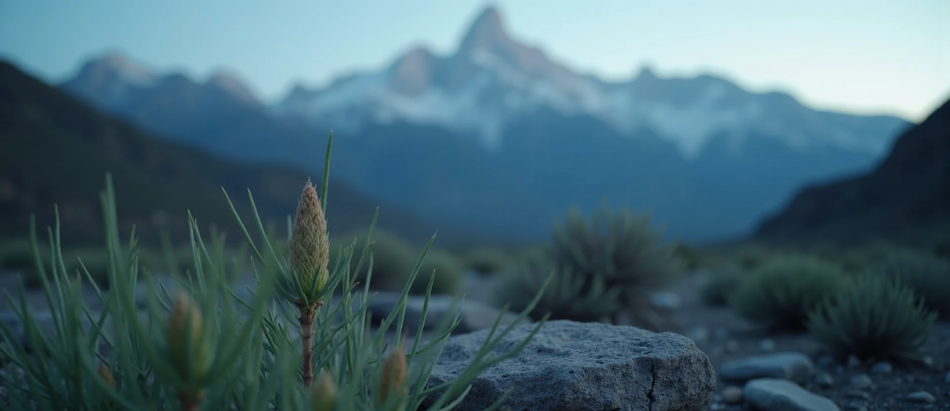 Symbolizing Seed/New Beginning: A local Rabbitbrush new green bud on a branch. - AI Generated