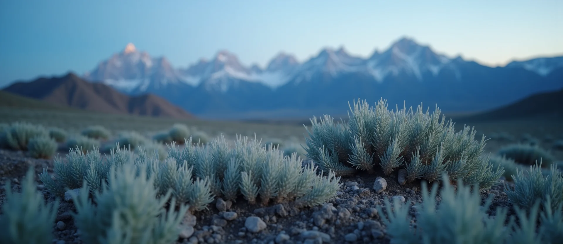 Symbolizing Identity/Local: A local Indian Paintbrush Sierra Nevada skyline. - AI Generated
