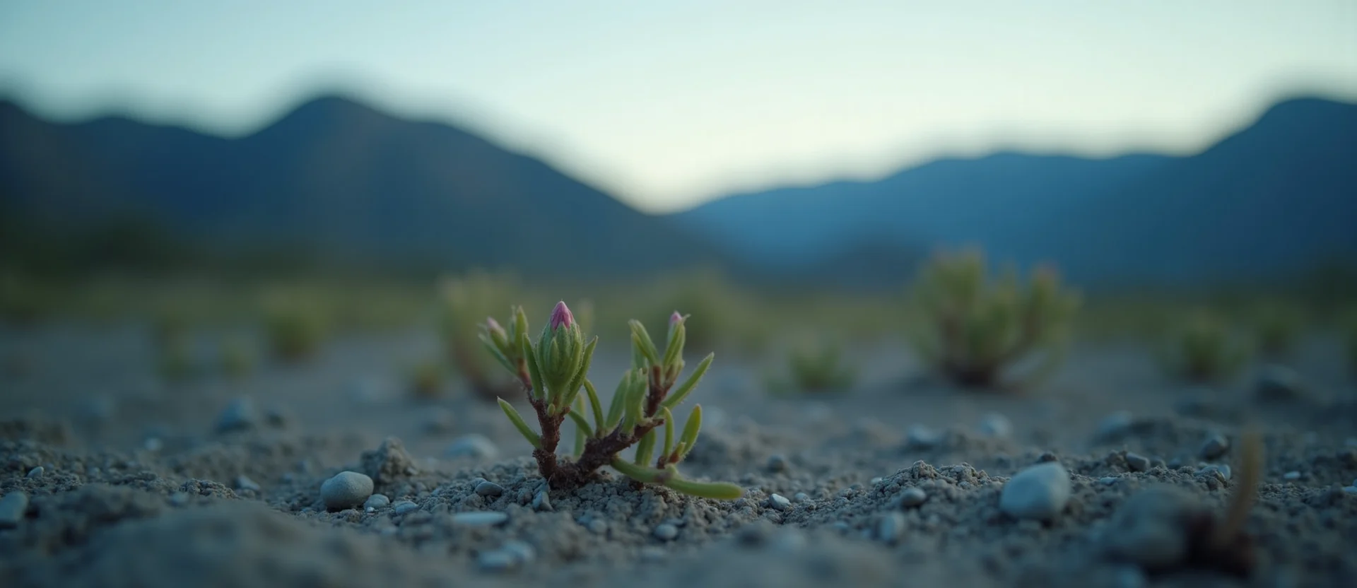 Symbolizing Seed/New Beginning: A local Indian Paintbrush new green bud on a branch. - AI Generated