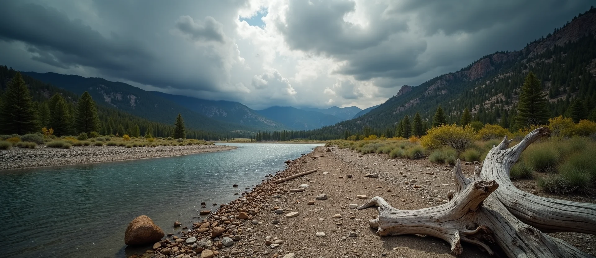 Symbolizing Identity/Local: A local Ponderosa Pine Washoe Valley floor. - AI Generated