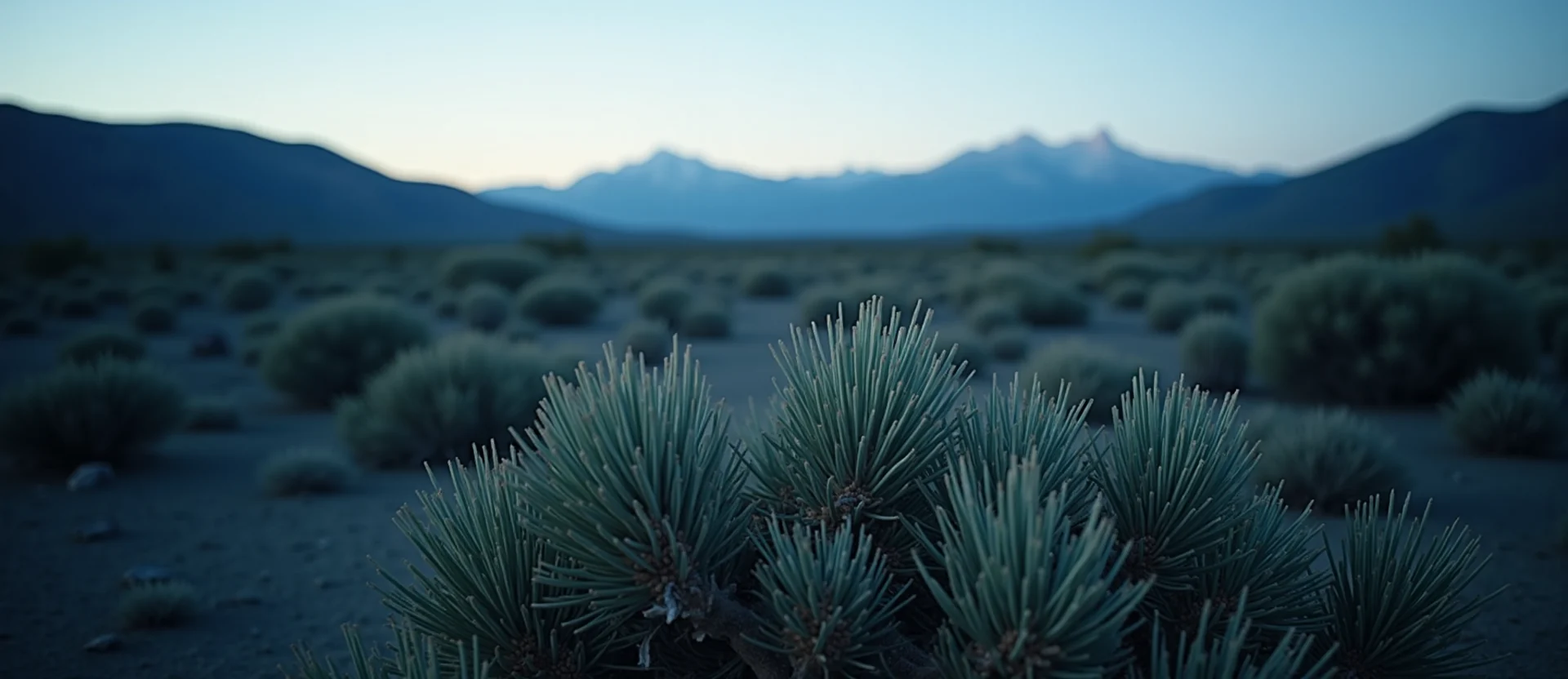 Symbolizing Stability/Peak: A local Sagebrush (Artemisia tridentata) distant Sierra horizon. - AI Generated