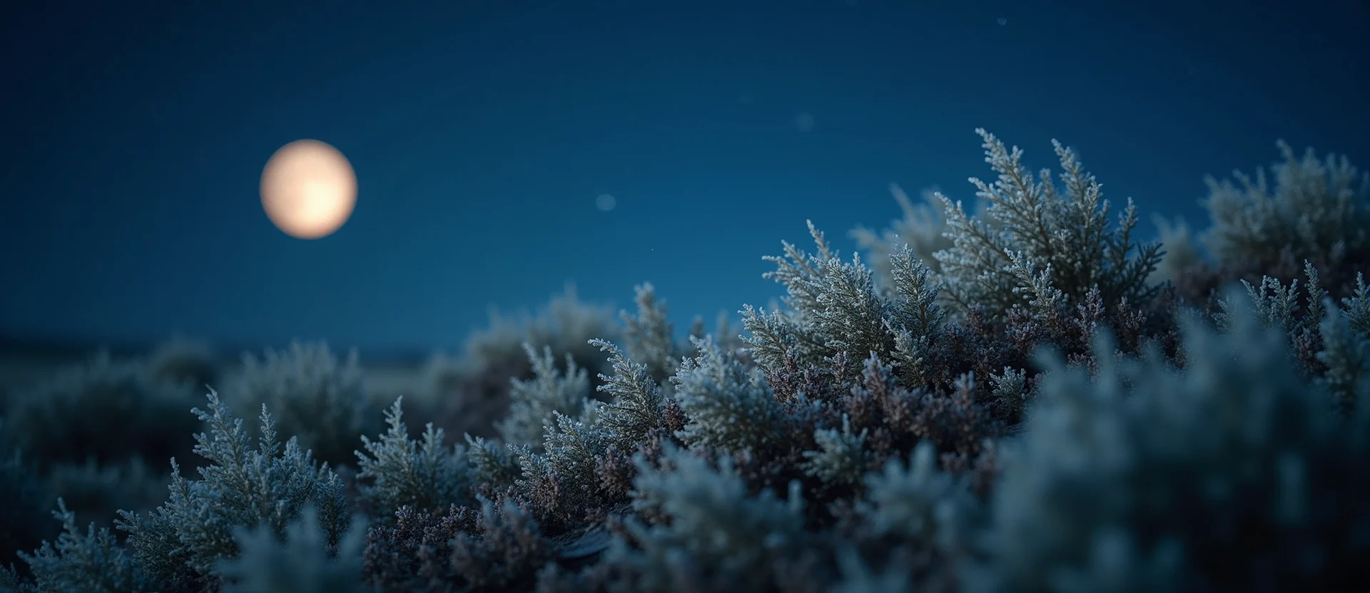 Symbolizing Identity/Local: A local Bitterbrush Mt. Rose foothills. - AI Generated