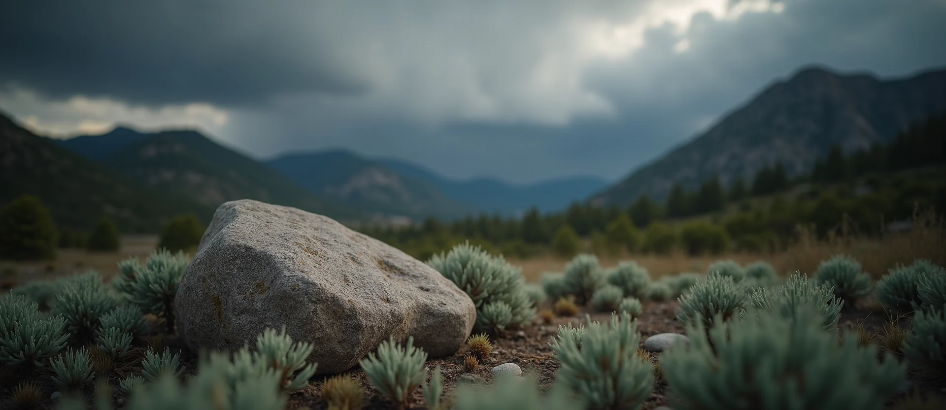 Symbolizing Stability/Peak: A local Bitterbrush unshakable boulder. - AI Generated