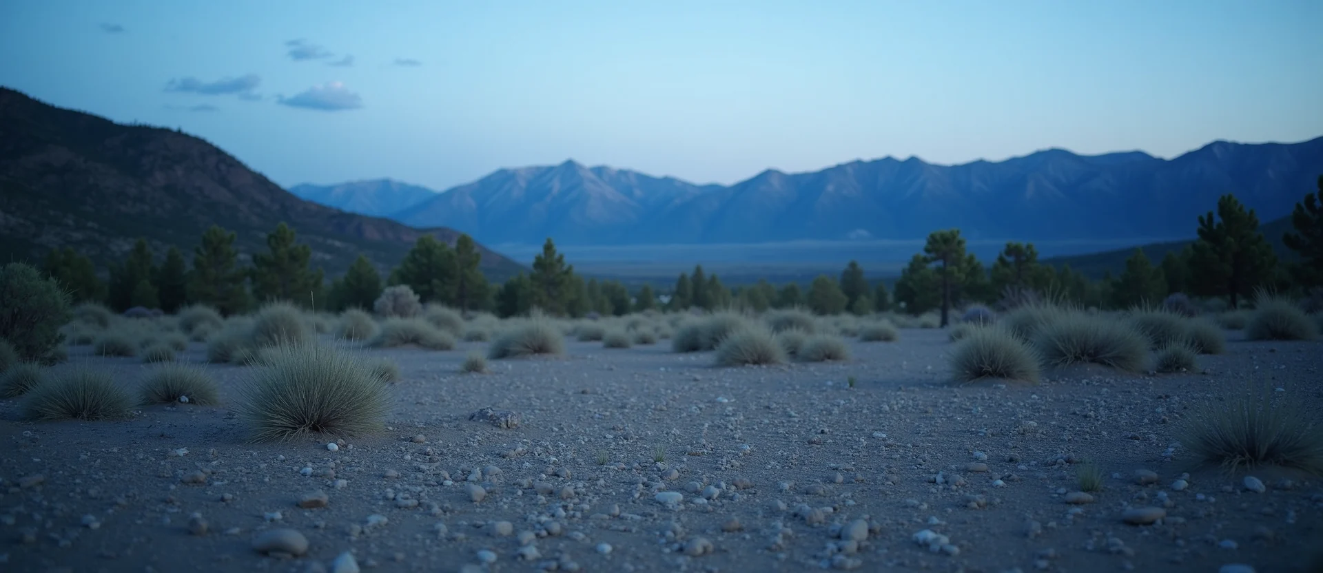 Symbolizing Identity/Local: A local Mountain Mahogany Washoe Valley floor. - AI Generated