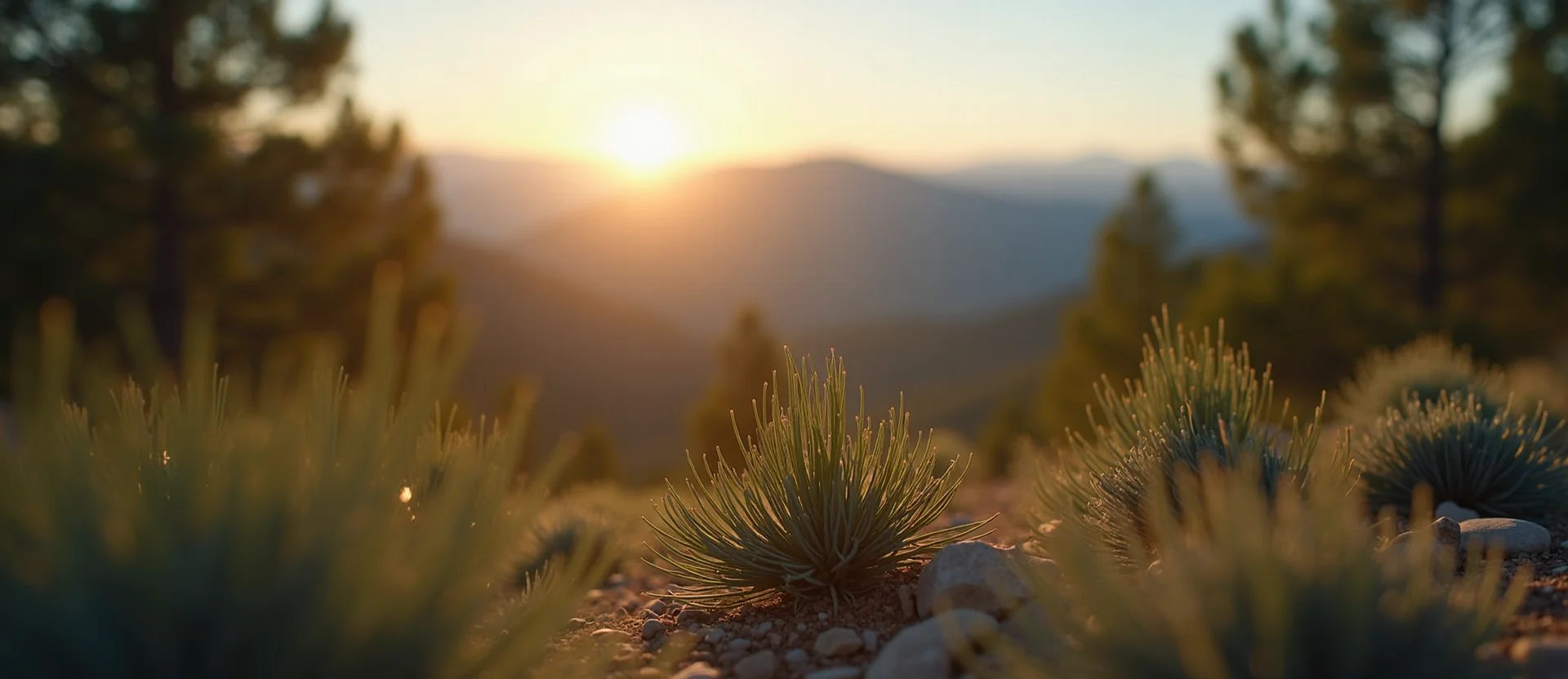 Symbolizing Identity/Local: A local Rabbitbrush Peavine Mountain silhouette. - AI Generated